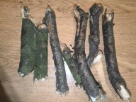 Próchno dębowe 2 szt. duże gałęzie 15 cm+ z mchem i porostami