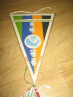 POLSKI ZWIĄZEK WĘDKARSKI PBP BUDOSTAL-4 sekcja wędkarska proporczyk