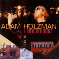 Adam Holzman-New Big Picture/Escapade
