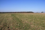 Działka, Rogowo, Stargard, Stargardzki, 3045 m²