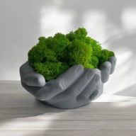 Dłonie betonowe z chrobotkiem