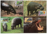 5-GK47- Liberia,1984- Ssaki-Hipopotany