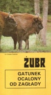 Żubr gatunek ocalony od zagłady FOLDER LOP