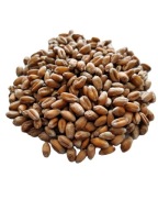 Pszenica 25 kg karma dla kur kaczek gołębi