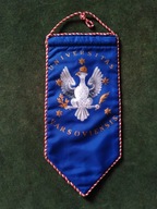 Piękny stary proporczyk UNIWERSYTET WARSZAWSKI - bardzo rzadki