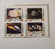 Umm ale Qiwain. Ryby..04369r