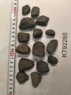 Skamieliny, minerały, meteoryty 15 sztuk