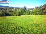 Działka, Turza, Rzepiennik Strzyżewski, Tarnowski, 3900 m²