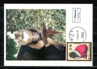 A55769)Austria: Maksimum Karta 2360, Koty