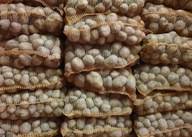 ZIEMNIAKI Denar Młode 15kg PYSZNE DELIKATNE 2025 ECO BEZ CHEMII PL