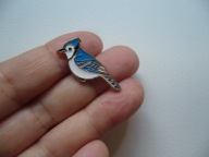 PIN PRZYPINKA BROSZKA PTAK PTASZEK MODROSÓJKA BŁĘKITNA