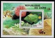 Zair/ ryby/ czyste