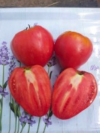 Pomidor Sederce Bujovola Bycze serce nasiona kolekcjonerskie