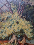 6863) PEJZAŻ IMPRESJONIZM MISTRZOWSKI OLEJ