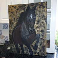 Koń obraz malowany ręcznie duży Anpi 70x50 /75PatrykMit