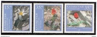 Kazachstan ** - tulipany