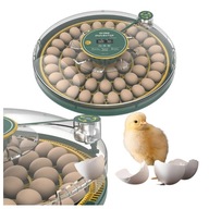 Inkubator z klujnikiem Aquos