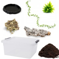 ZESTAW TERRARIUM 12,5L – PTASZNIK, SKORPION, ŻABA ROGATA, ŚLIMAK