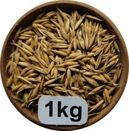 Owies Żółty 1kg, 2025r