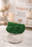 Prezent dla mamy doniczka z mchem chrobotek życzenia 3 wzory