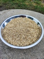 Jęczmień ziarno, karma dla kur, kaczek - 11kg.