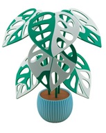 MONSTERA MONKEY MASK ADANSONA VARIEGATA 3D UNIKATOWA ROŚLINA