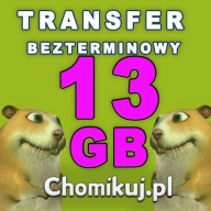 TRANSFER CHOMIKUJ 13 GB - BEZTERMINOWO