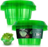 Osłona na rośliny kołnierz przeciw ślimakom plastikowy zielony 13 sztuk