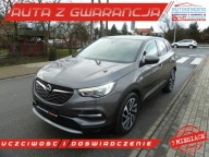 Opel Grandland X Klimatyzacja Nawigacja Parktronic El.lusterka El.szyby El