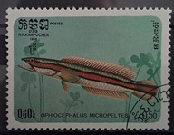 Ryby (kas) - luzak - do uzupełnień 13/3