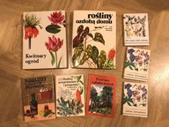 Rośliny źródłem przypraw i inne