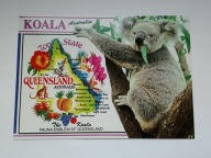 Australia - Fauna stanu Queensland i miś koala - pocztówka