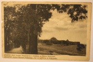 KRAKÓW. Aleja Jerzego Waszyngtona z widokiem na Kopiec Kościuszki, CZYSTA