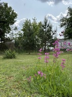 Działka, Toruń, 800 m²