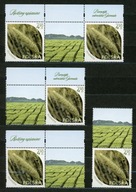 Fi 5458** Rośliny uprawne pszenżyto 4 x kombinacje - 2025