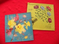 KOCOŃ ŚNIEŻANKA wielki romans POCZTÓWKA DŹWIĘKOWA 1977 NM