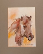 Koń portret konia akwarela na papierze