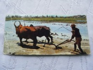 MADAGASKAR TANANARIVE ...