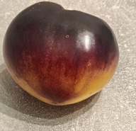 Pomidor Blues on a Platter (423) nasiona kolekcjonerskie