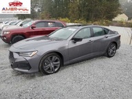 Acura TL X Tech A 2023 2.0l 2.0 Benzyna 272KM