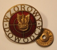 WZOROWY DOWÓDCA - BARDZO ŁADNY STAN - MENNICA PAŃSTWOWA (2)