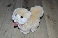 pluszak maskotka biszkoptowy puszysty kot kotek Trudi