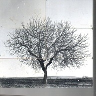 Grecja. 6 greckich kart telefonicznych puzzle-DRZEWO 2