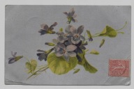 Fiołki kwiaty ok.1905r. Litografia Srebrzona 381C