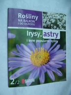 Rośliny na balkon i do ogrodu. Irysy, astry