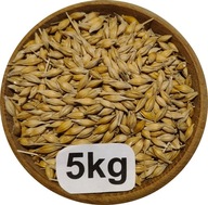 Jęczmień Konsumpcyjny/Paszowy, 5kg, 2025r