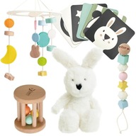 CLASSIC WORLD Pastelowy Zestaw Pierwszych Zabawek dla Niemowląt 0-6 m.