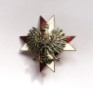 Odznaka 1 Pułk Ułanów