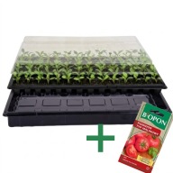 Wielodoniczka Mini Szklarnia do Rozsadu 84kom + Nasiona Pomidorów GRATIS