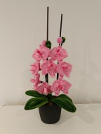 wieczne kwiaty z drucika kreatywnego storczyk